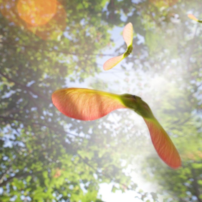 tên dự án Sycamore Bình Dương