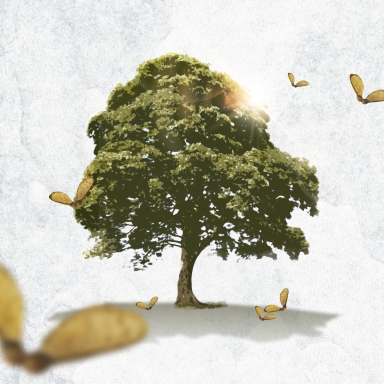 tên dự án Sycamore Bình Dương